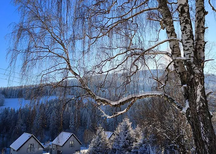 Шале Widokowka Kletno - Komfortowe Pod Snieznikiem, Balia Na Wylacznosc